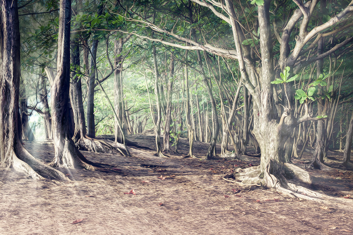 Fotograf aus Stuttgart Lucian Mitiu, Travel und Landscape