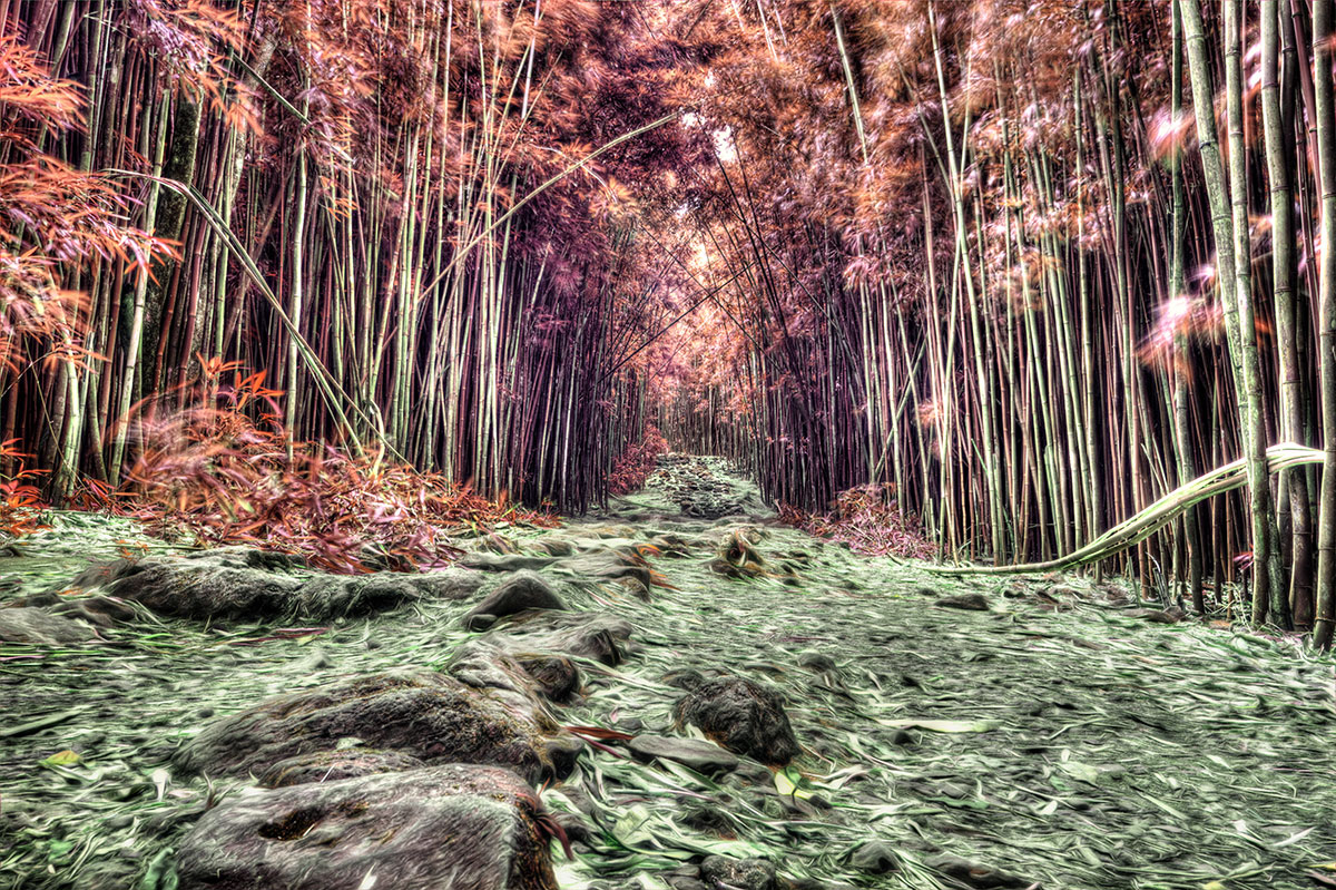 Fotograf aus Stuttgart Lucian Mitiu, Travel und Landscape